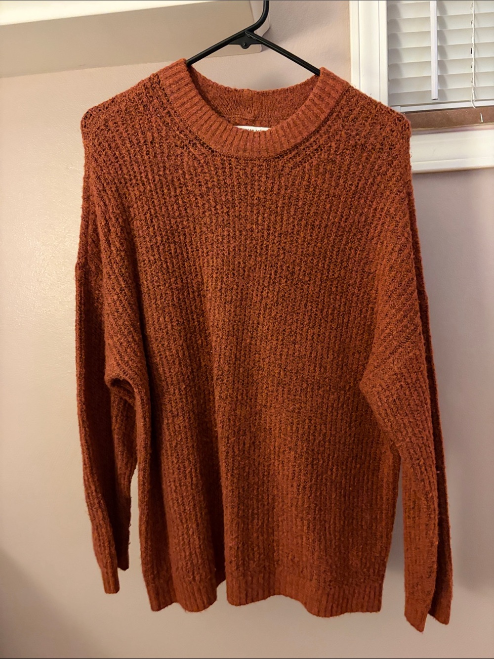 American Eagle Crewneck Sweater | Burnt Orange